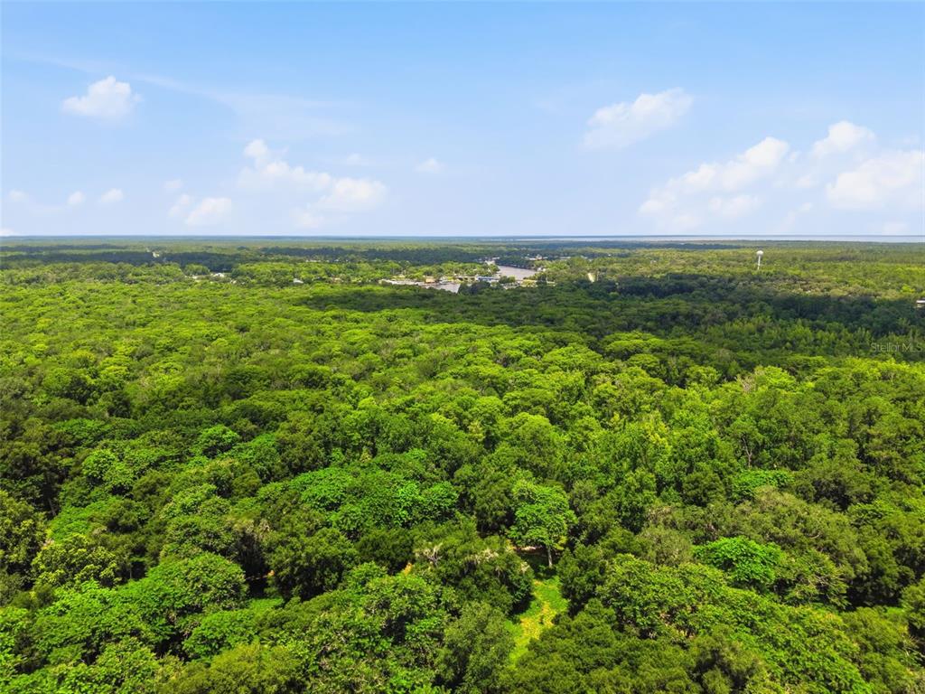 2140 St Johns River Road Astor, FL 32102 - Photo 20 of 36 a view of a city with lush green forest