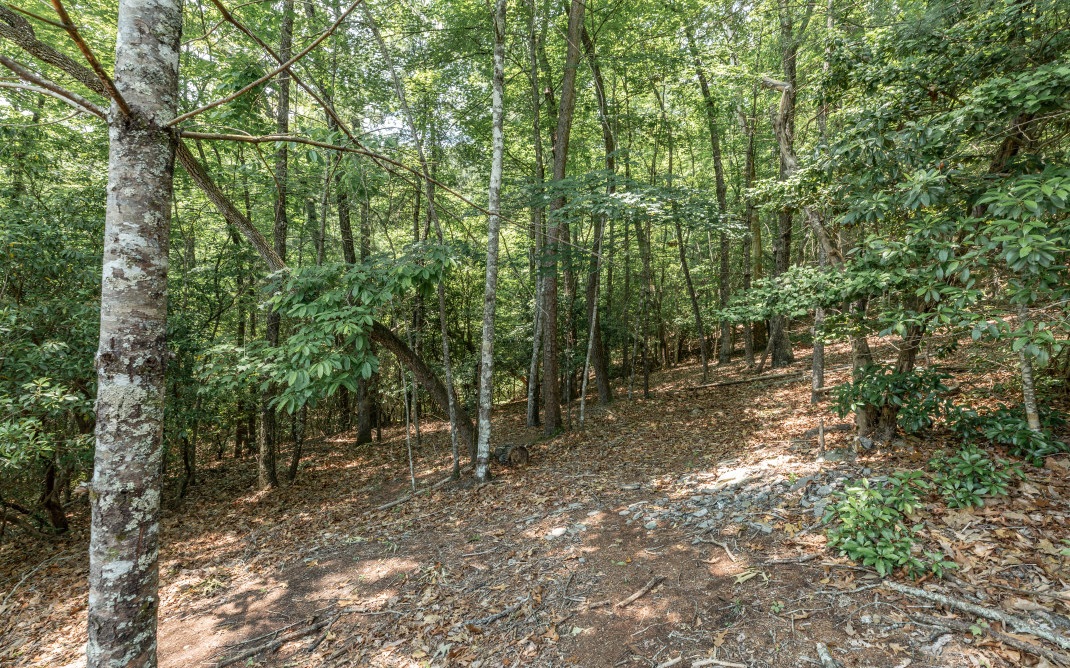 267 Ridge Top Lane Blue Ridge, GA 30513 - Photo 57 of 73 Additional View
