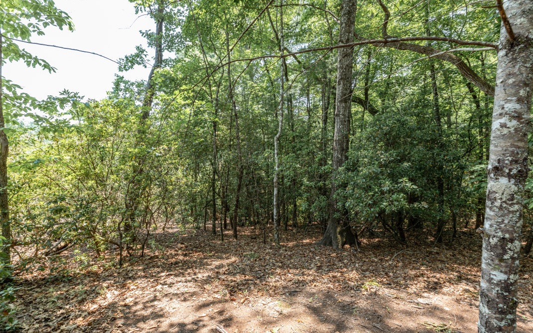 267 Ridge Top Lane Blue Ridge, GA 30513 - Photo 58 of 73 Additional View