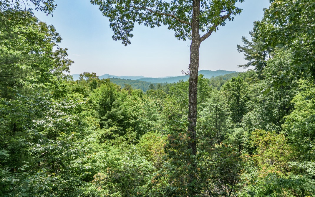 267 Ridge Top Lane Blue Ridge, GA 30513 - Photo 6 of 73 Additional View