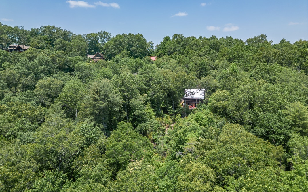 267 Ridge Top Lane Blue Ridge, GA 30513 - Photo 70 of 73 Additional View