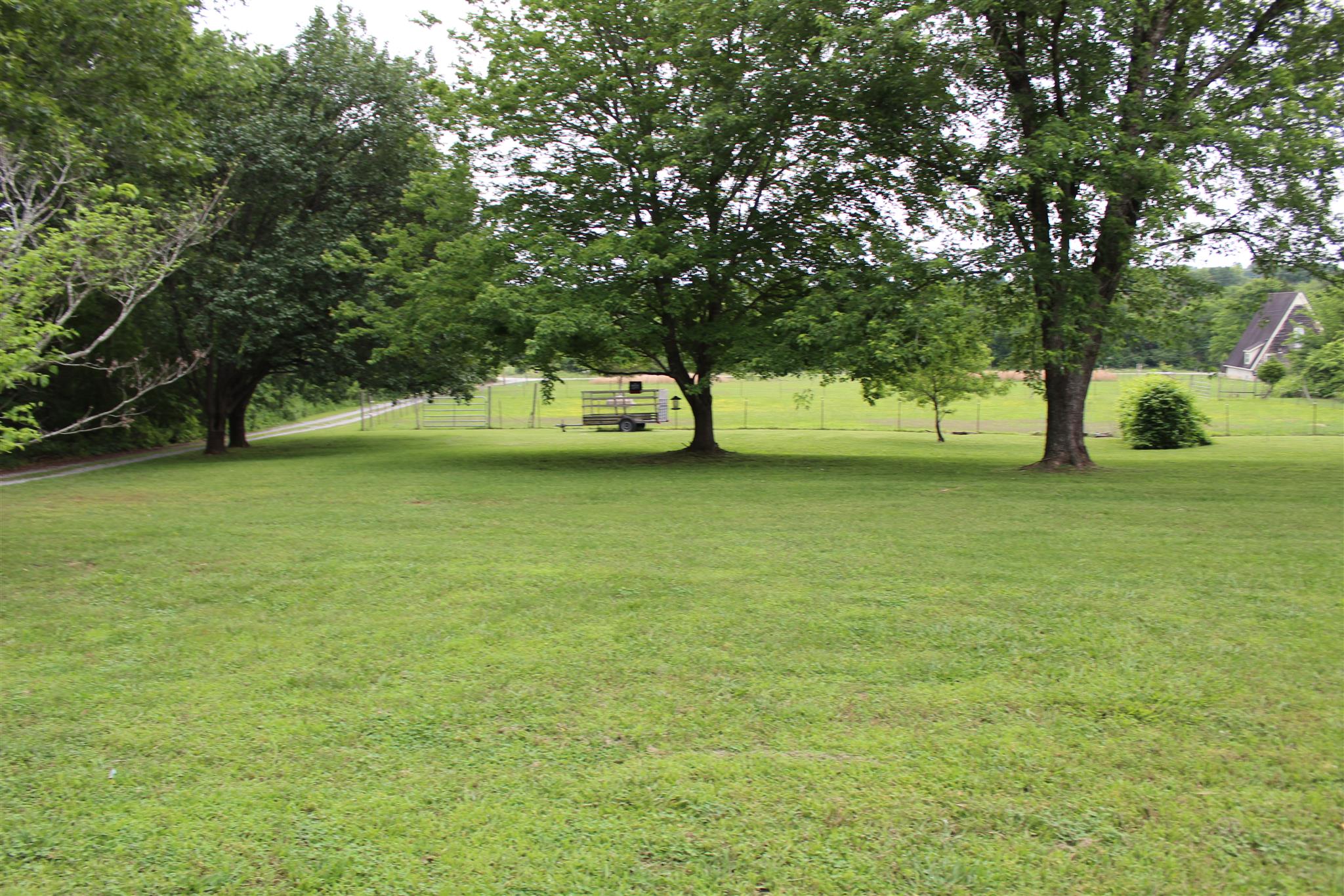 4749 Ollie Chunn Road Spring Hill, TN 37174 - Photo 5 of 11 a view of a trees in a yard