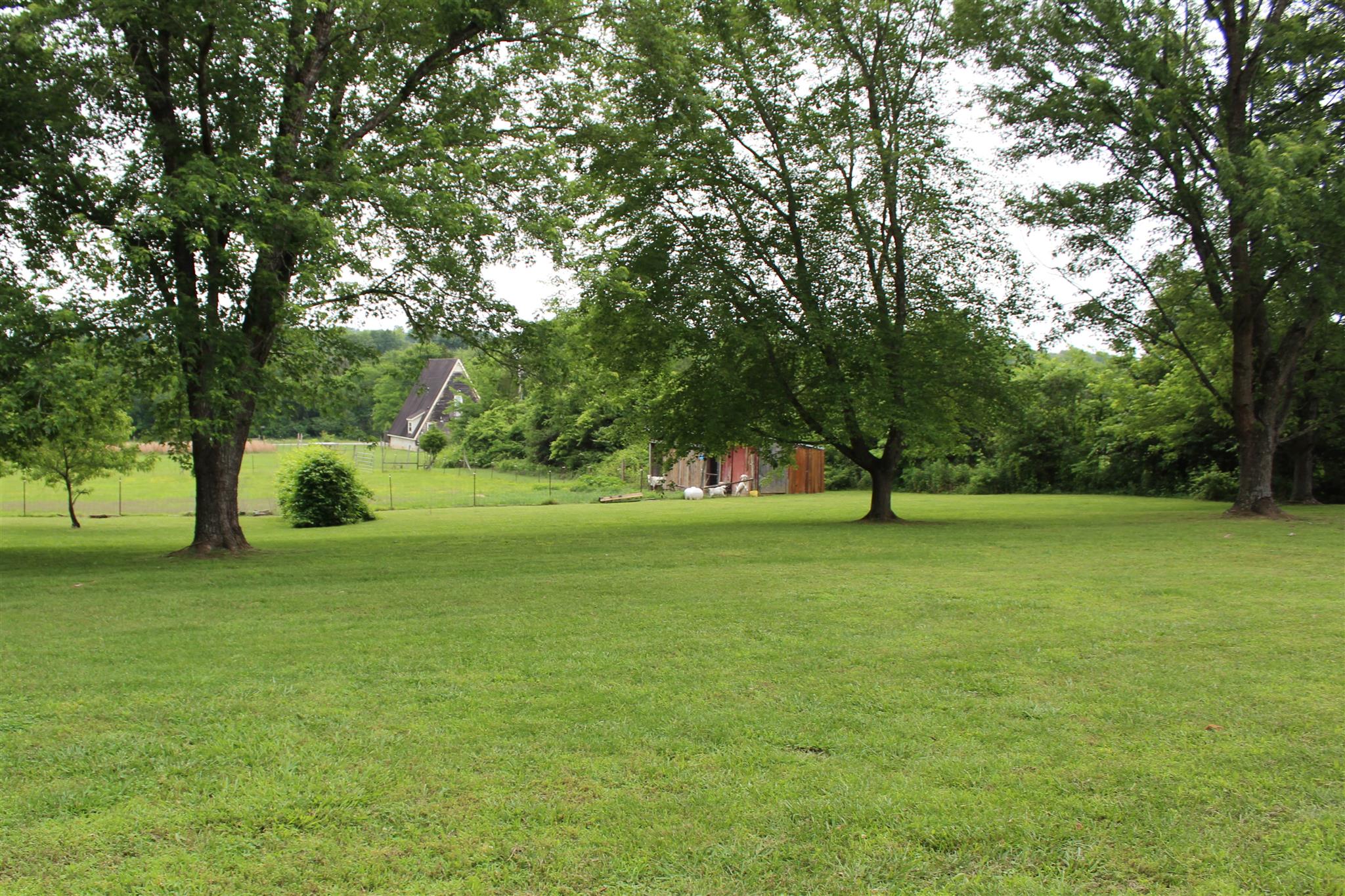 4749 Ollie Chunn Road Spring Hill, TN 37174 - Photo 8 of 11 a view of a trees in a yard