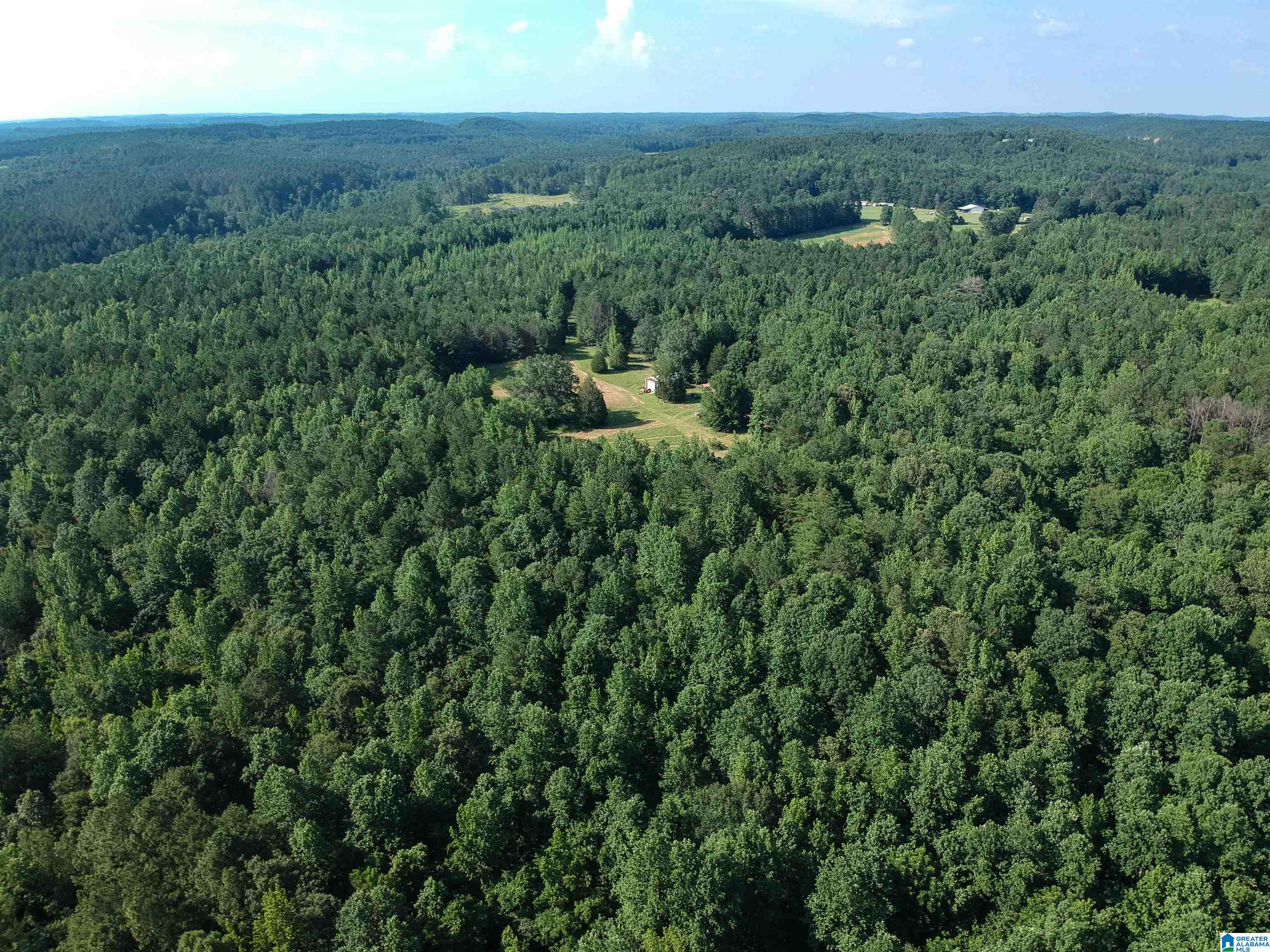 373 Myers Road Berry, AL 35546 - Photo 12 of 74