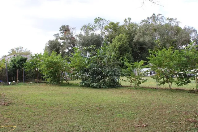 a view of a field with an trees