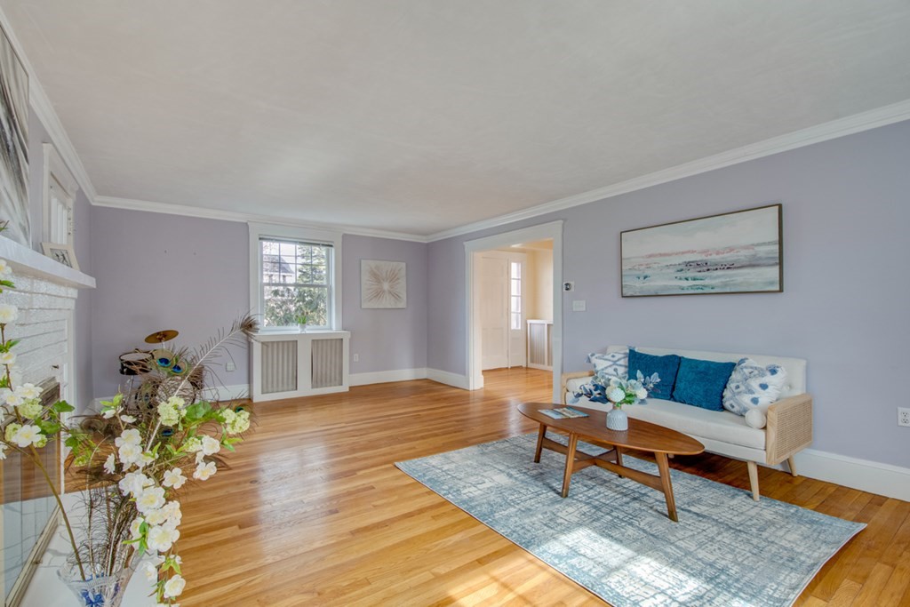 11 Angier Circle Newton, MA 02466 - Photo 7 of 21 a living room with furniture and a potted plant