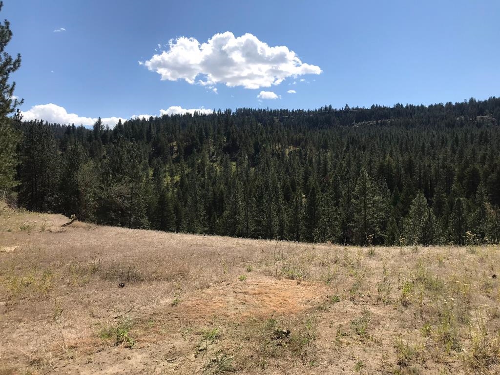 48428 Bull Run Road East Ford, WA 99013 - Photo 11 of 25