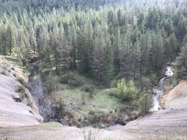 48428 Bull Run Road East Ford, WA 99013 - Photo 12 of 25