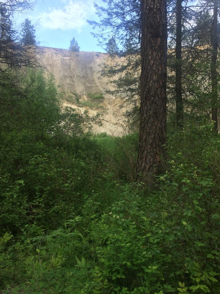 48428 Bull Run Road East Ford, WA 99013 - Photo 15 of 25