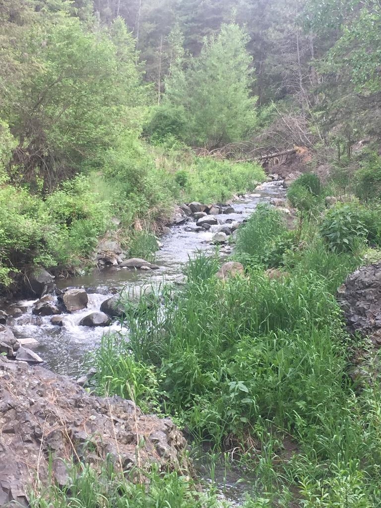 48428 Bull Run Road East Ford, WA 99013 - Photo 16 of 25