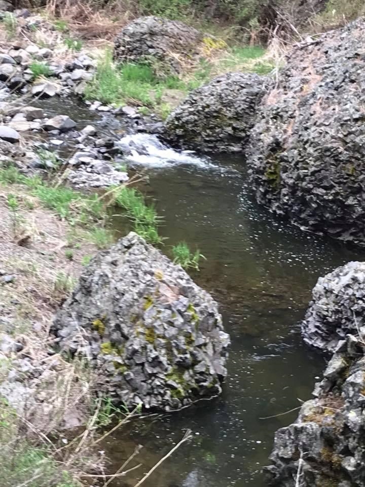 48428 Bull Run Road East Ford, WA 99013 - Photo 17 of 25