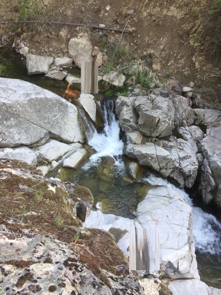 48428 Bull Run Road East Ford, WA 99013 - Photo 19 of 25