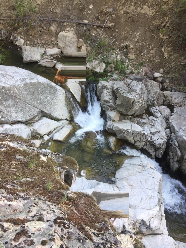 48428 Bull Run Road East Ford, WA 99013 - Photo 21 of 25