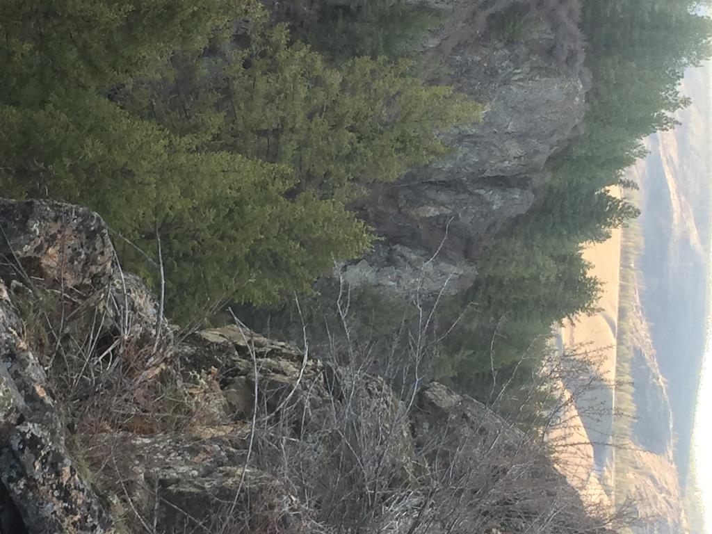 48428 Bull Run Road East Ford, WA 99013 - Photo 22 of 25