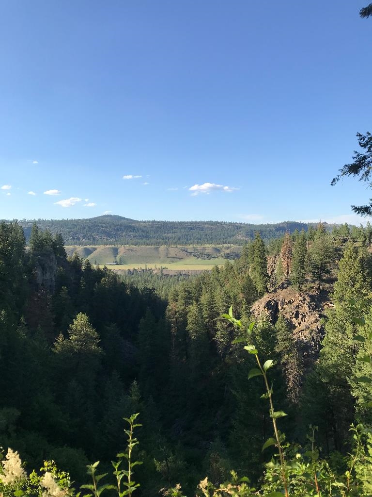 48428 Bull Run Road East Ford, WA 99013 - Photo 23 of 25