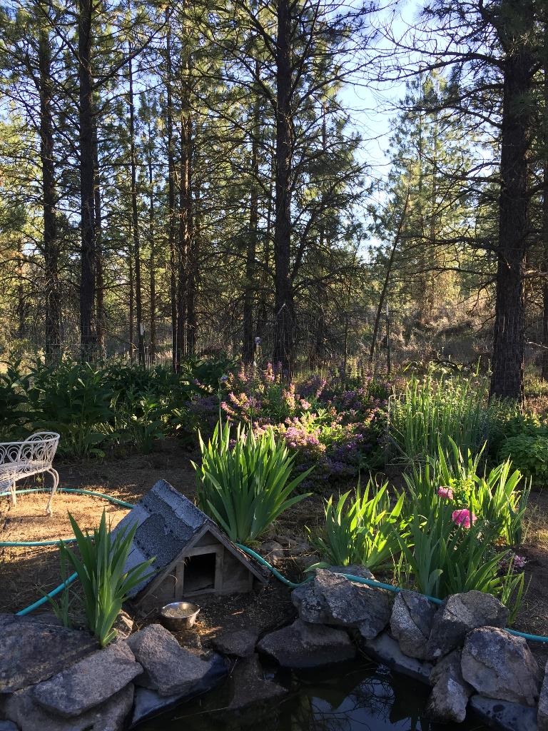 48428 Bull Run Road East Ford, WA 99013 - Photo 6 of 25