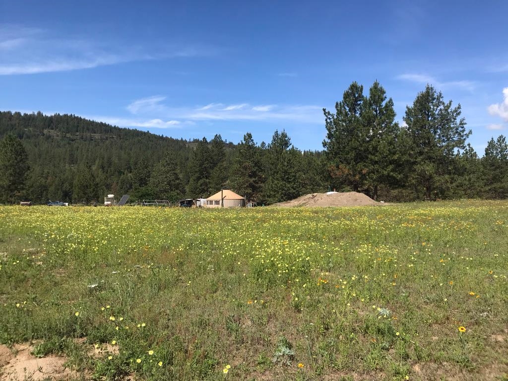 48428 Bull Run Road East Ford, WA 99013 - Photo 8 of 25