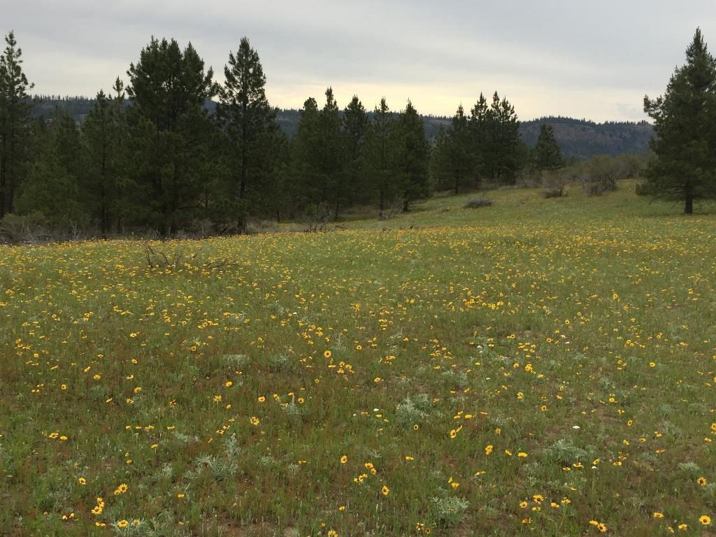 48428 Bull Run Road East Ford, WA 99013 - Photo 9 of 25