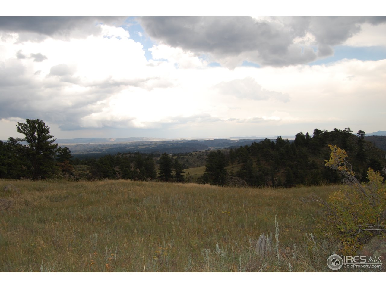 0 Cherokee Meadows Road Livermore, CO 80536 - Photo 8 of 10 Gallery Image 8