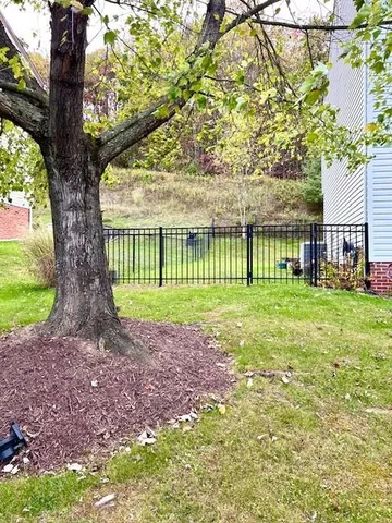 a view of a yard in front of a house with a large tree