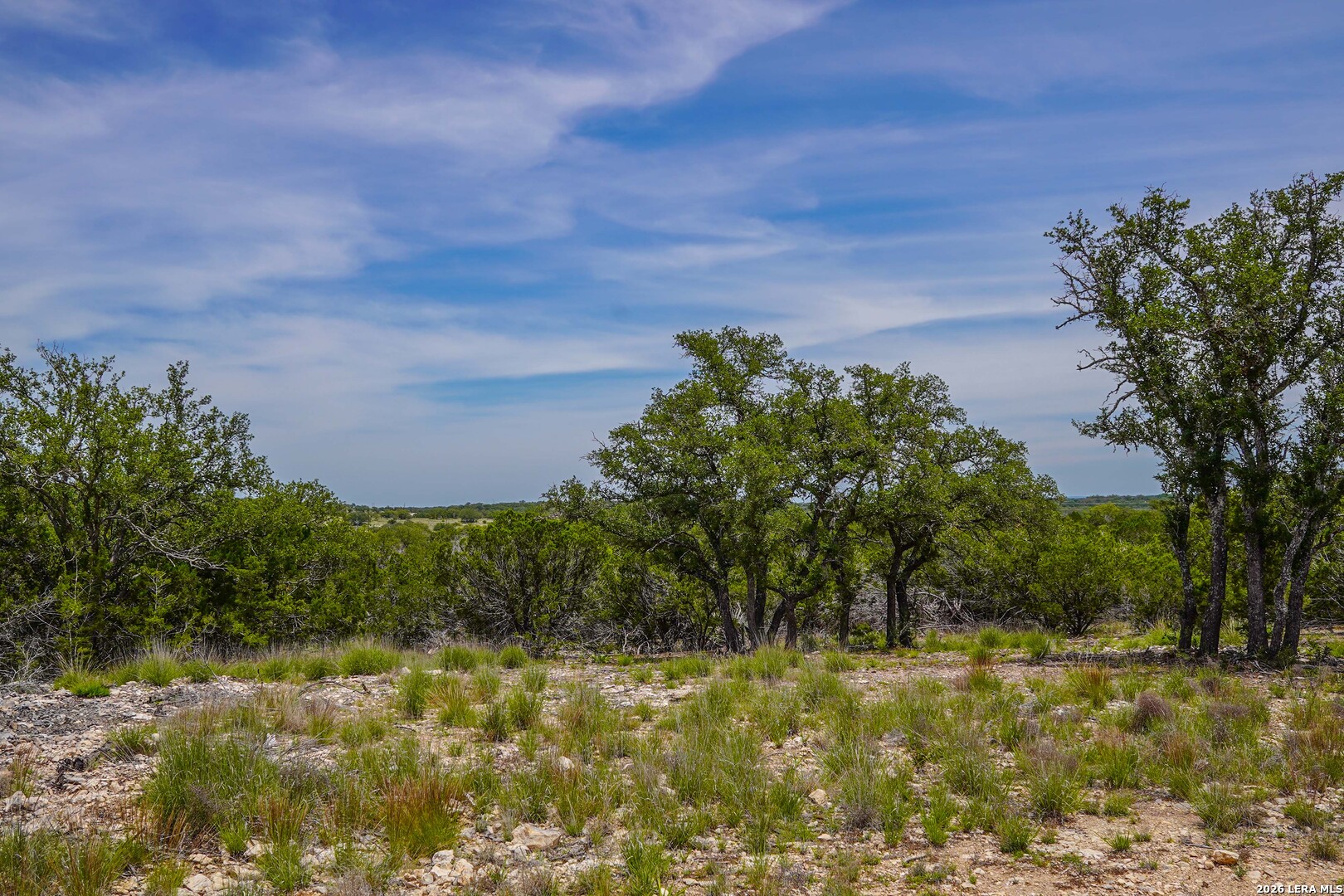 Tbd Cr 140 Junction, TX 76849 - Photo 11 of 24 a view of a yard with a tree