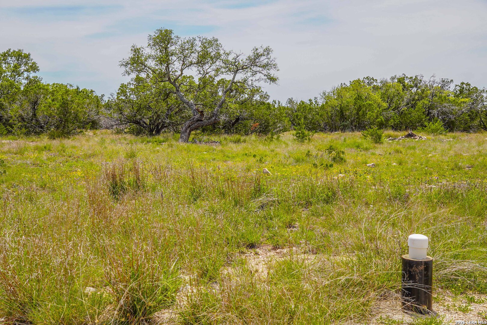 Tbd Cr 140 Junction, TX 76849 - Photo 15 of 24