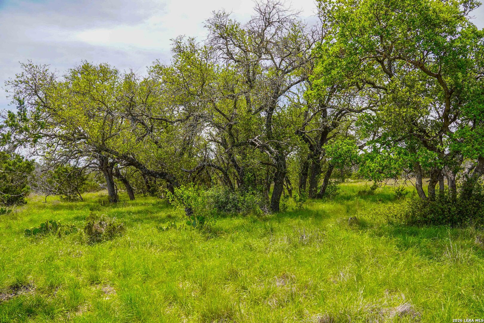 Tbd Cr 140 Junction, TX 76849 - Photo 19 of 24 a view of outdoor space and trees all around