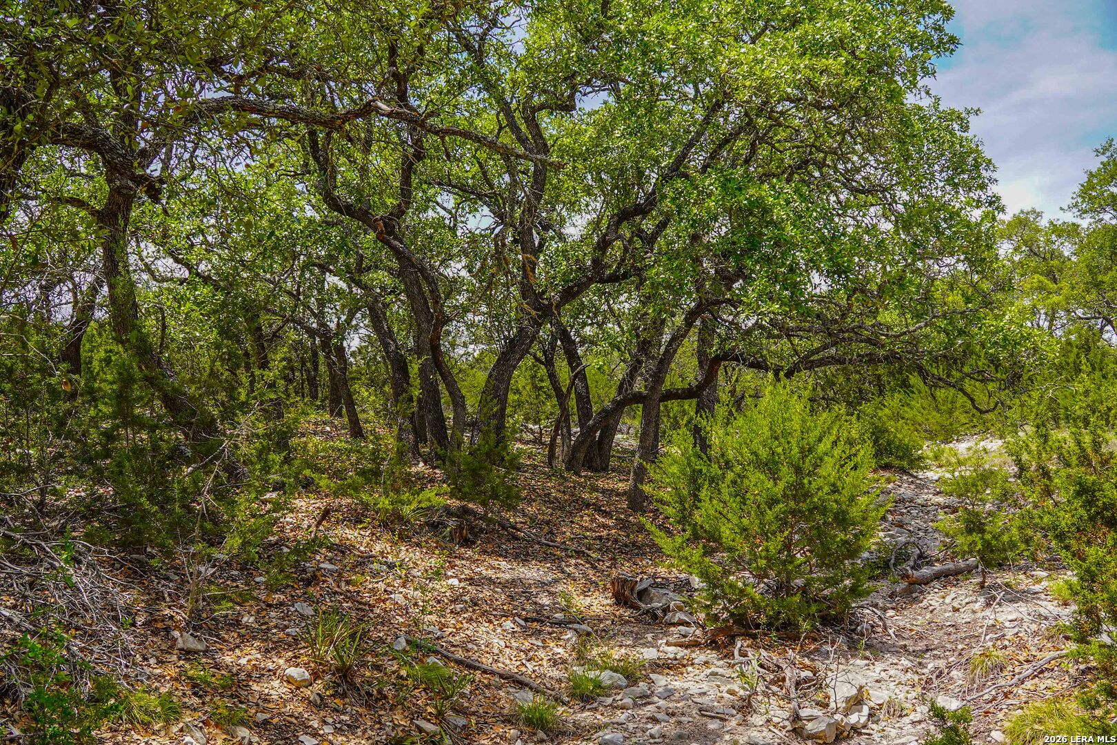 Tbd Cr 140 Junction, TX 76849 - Photo 2 of 24 a view of backyard with green space