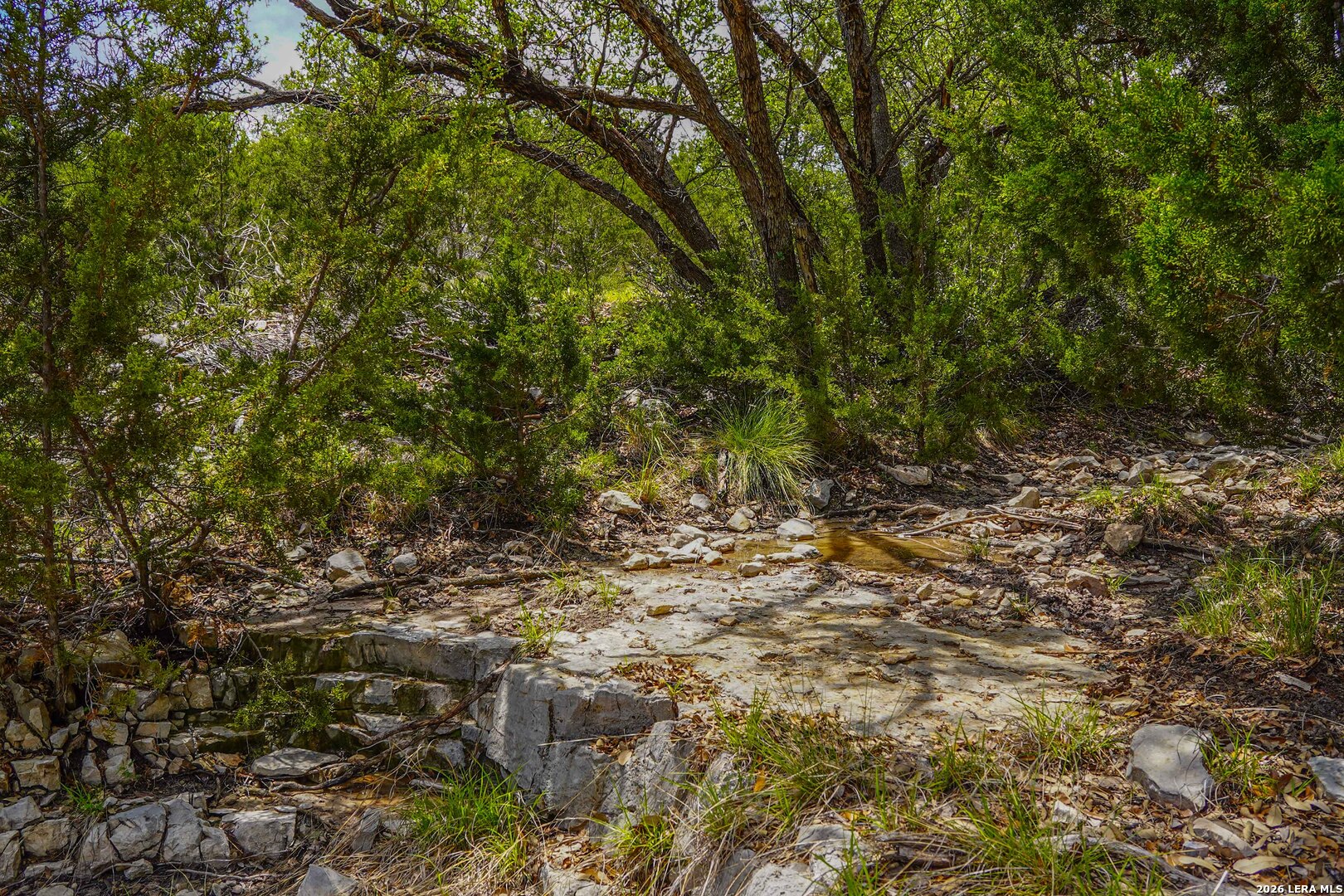 Tbd Cr 140 Junction, TX 76849 - Photo 5 of 24 a view of a yard with a tree