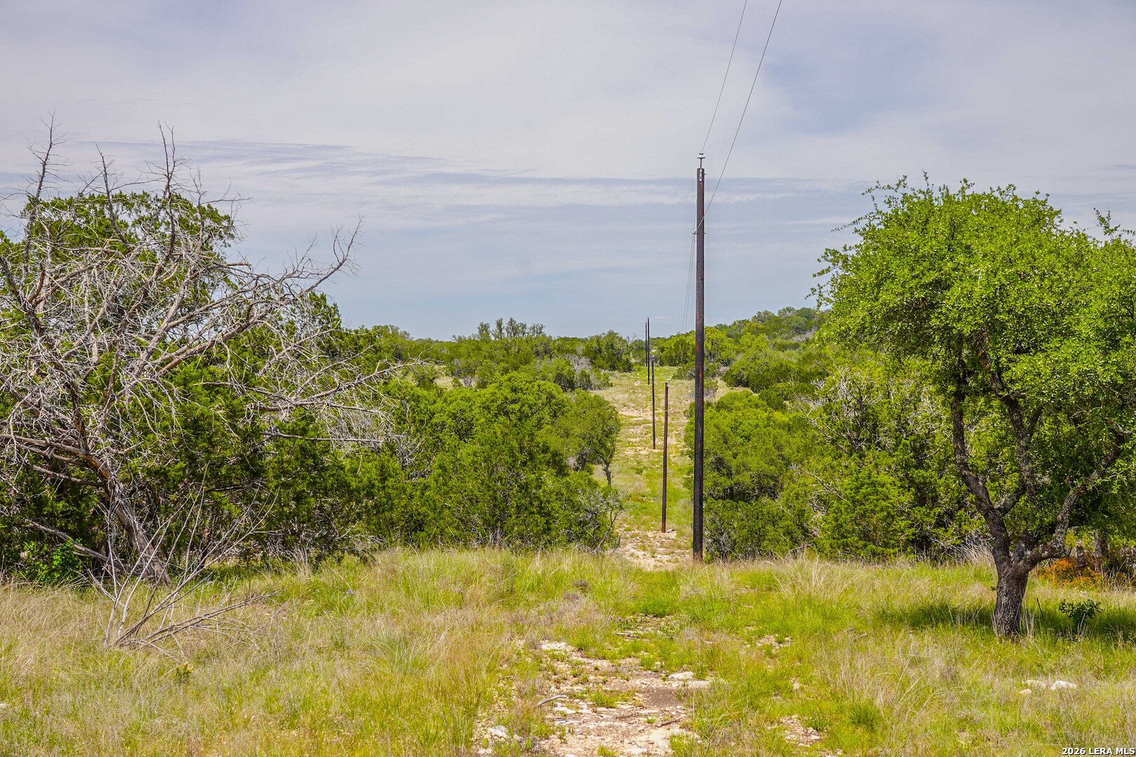 Tbd Cr 140 Junction, TX 76849 - Photo 8 of 24 a view of a garden