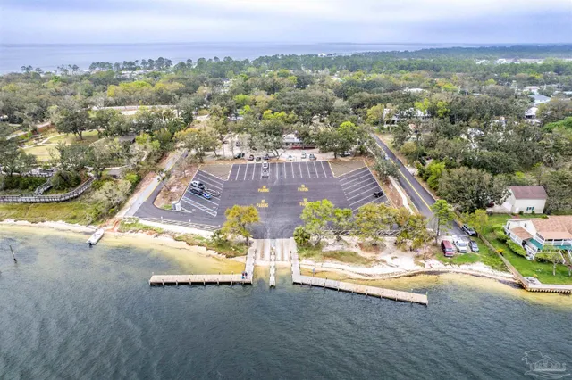 a view of a yard with plants