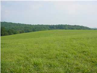 456 Sam Smith Road Birchwood, TN 37308 - Photo 1 of 6 Primary Photo