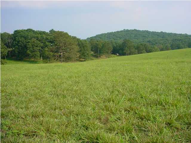 456 Sam Smith Road Birchwood, TN 37308 - Photo 2 of 6 Additional Photo