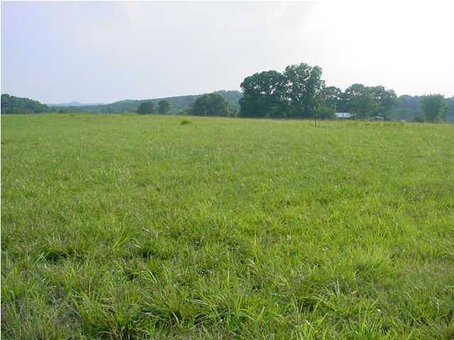 456 Sam Smith Road Birchwood, TN 37308 - Photo 6 of 6 Additional Photo