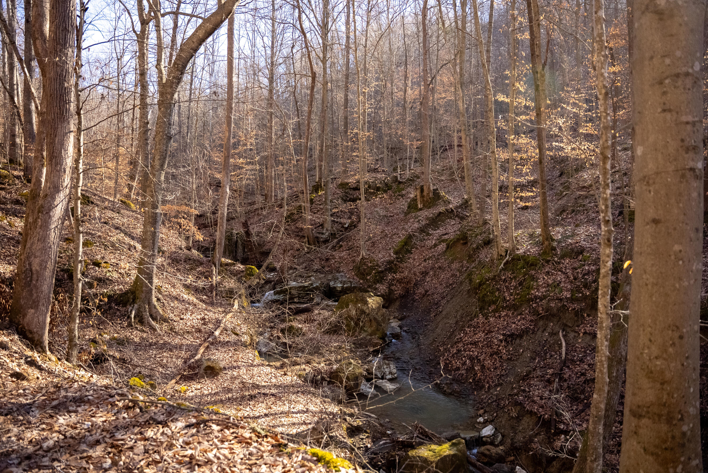 9999 North Bend Road Stanton, KY 40380 - Photo 29 of 84 029