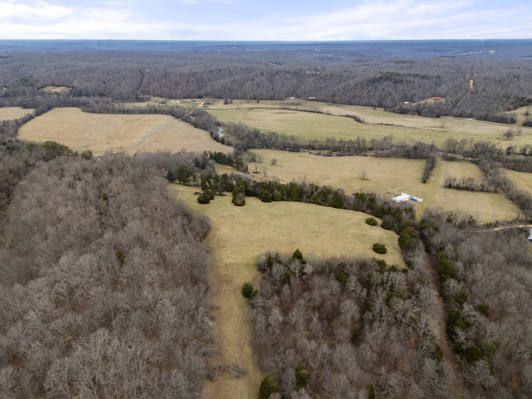 1447 West Beaverdam Road Centerville, TN 37033 - Photo 56 of 60