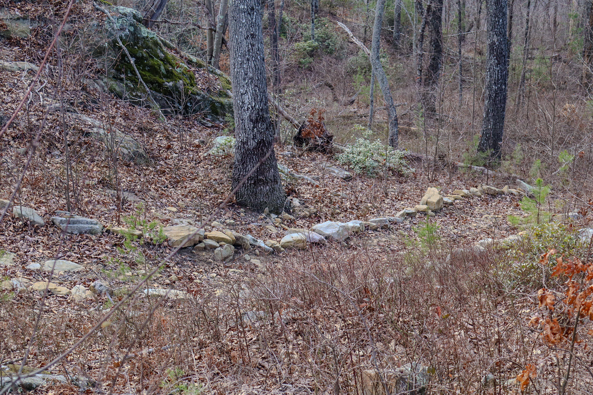 0 River View Court, Unit LOT 141 Jasper, TN 37347 - Photo 12 of 22 Huff and Puff