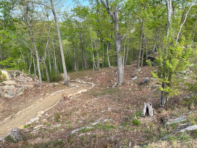 0 River View Court, Unit LOT 141 Jasper, TN 37347 - Photo 13 of 22 Huff n Puff Trl