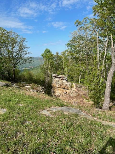 0 River View Court, Unit LOT 141 Jasper, TN 37347 - Photo 17 of 22 Lot View and Rock