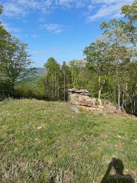 0 River View Court, Unit LOT 141 Jasper, TN 37347 - Photo 18 of 22 Lot,View and Rocks