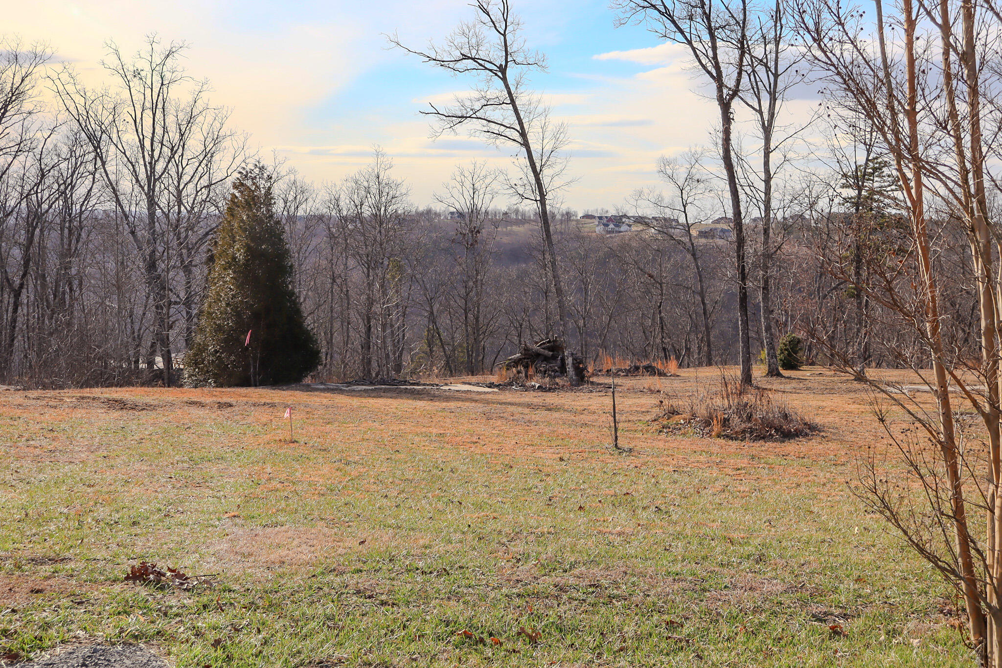 0 River View Court, Unit LOT 141 Jasper, TN 37347 - Photo 9 of 22 Mountains