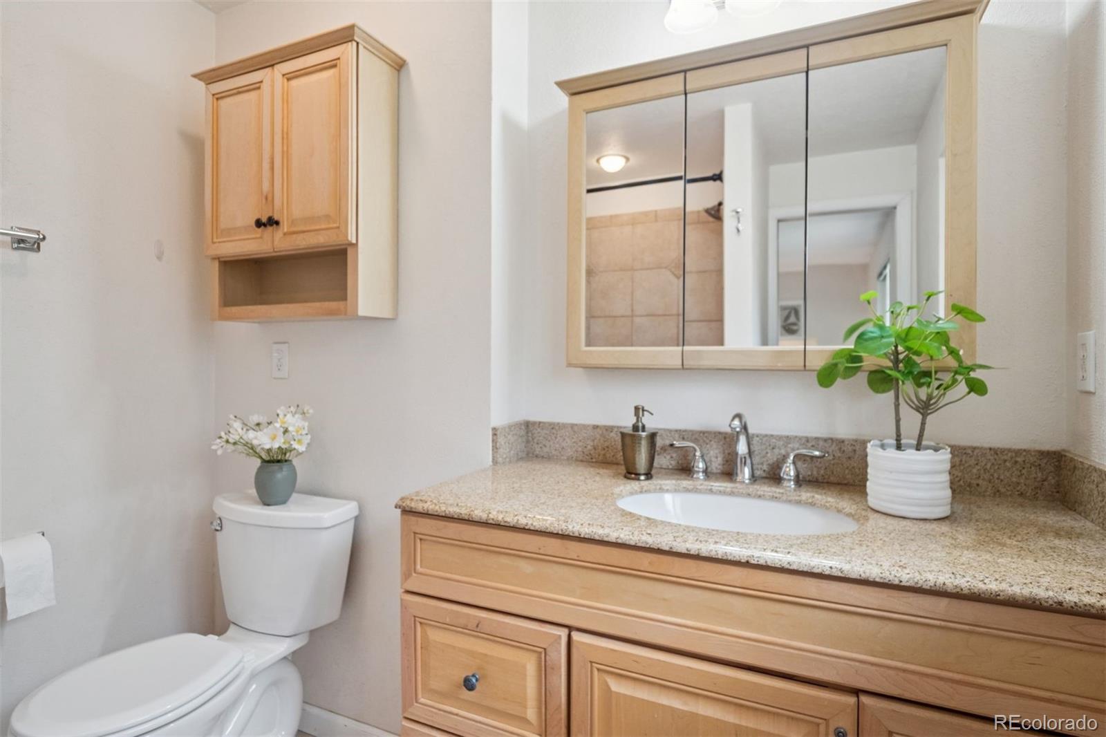 30321 Chestnut Drive Evergreen, CO 80439 - Photo 22 of 45