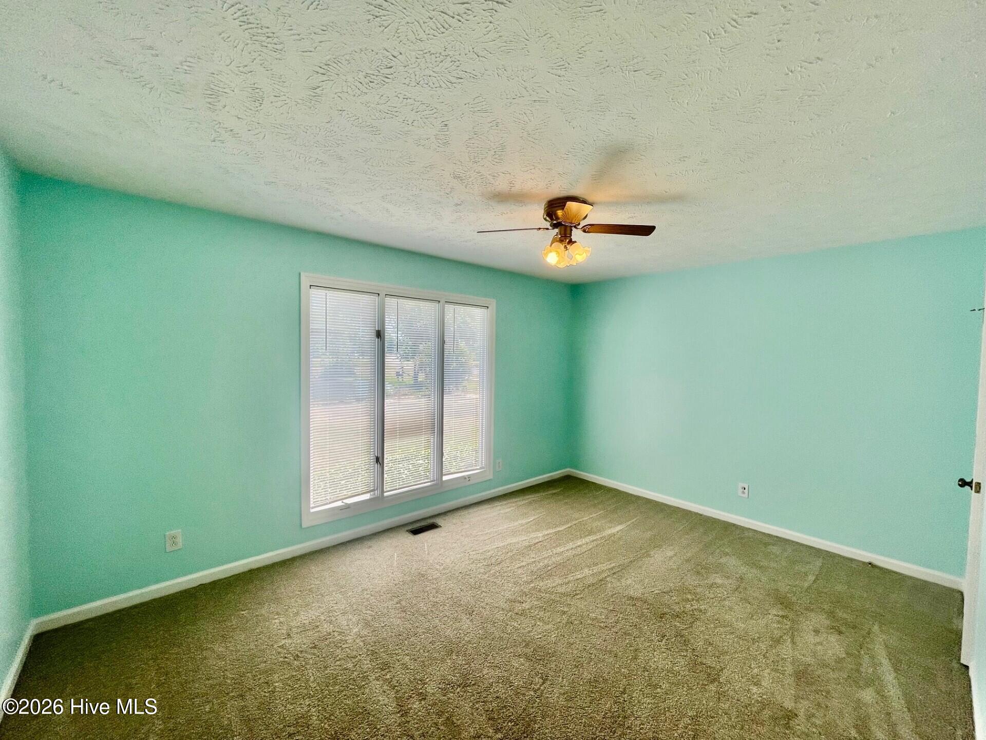 12 Hawk Drive Harrells, NC 28444 - Photo 16 of 18 bed5