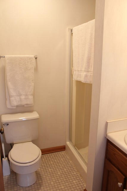 4501 Retreat Road Boones Mill, VA 24065 - Photo 24 of 57 a bathroom with a toilet and a shower
