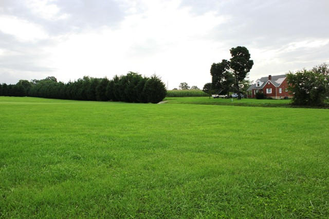 4501 Retreat Road Boones Mill, VA 24065 - Photo 46 of 57 a view of field with an trees