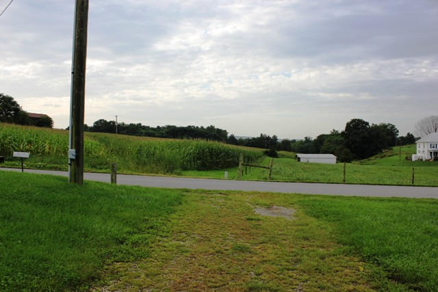 4501 Retreat Road Boones Mill, VA 24065 - Photo 57 of 57 a view of a field with a tree in the background