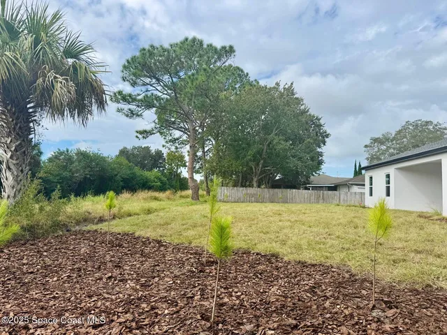 a view of a yard with palm trees