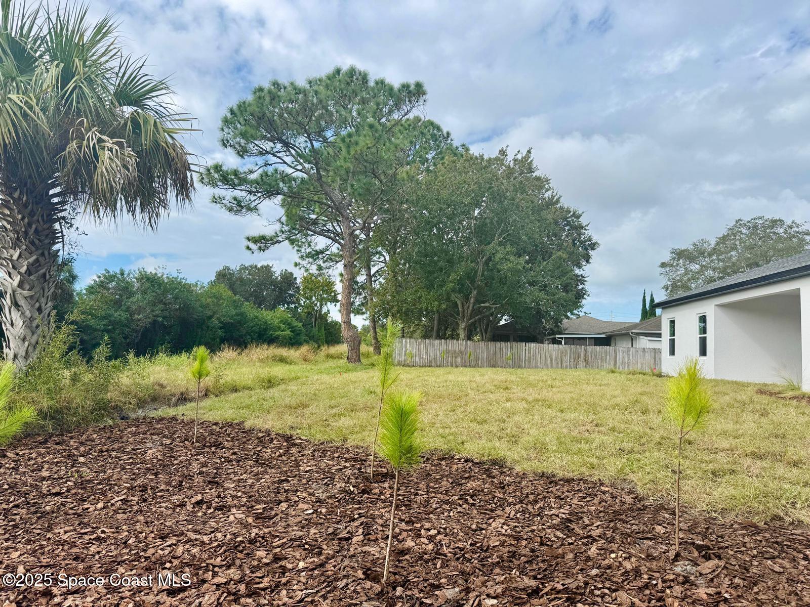 5915 Akers Street Cocoa, FL 32927 - Photo 12 of 33 a view of a yard with palm trees