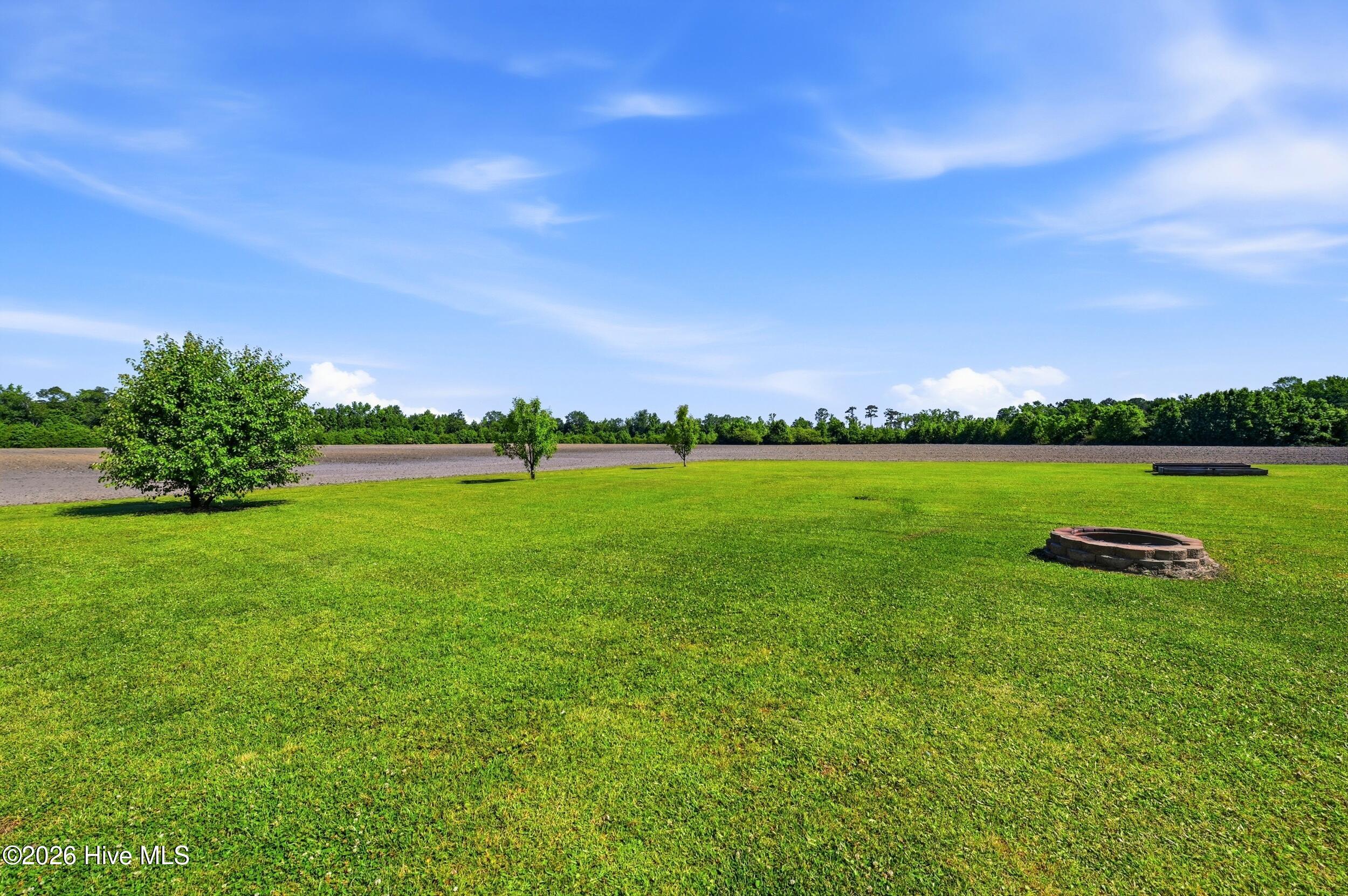 380 Swinson Road Maple Hill, NC 28454 - Photo 32 of 56 Backyard