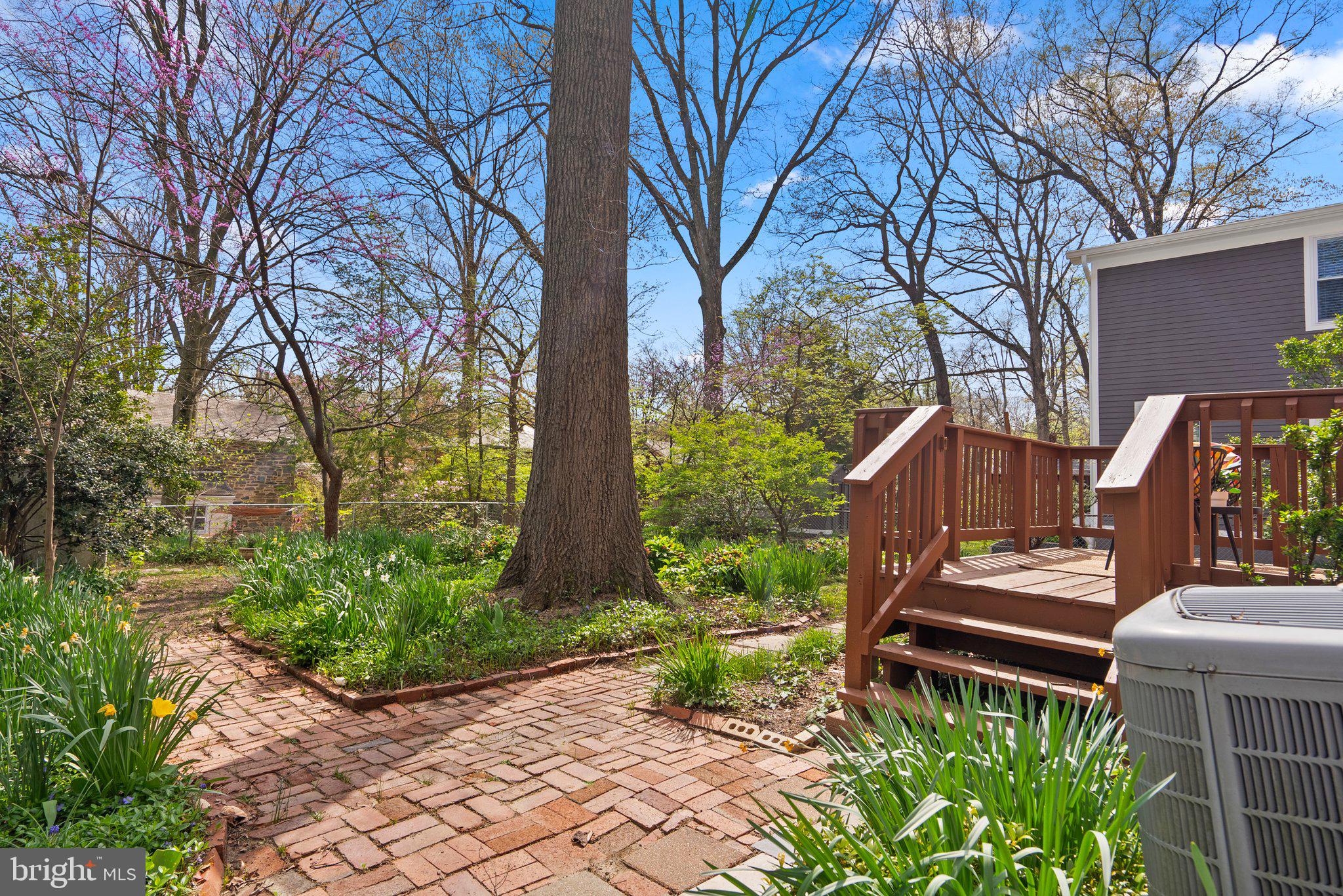 1113 Lancaster Road Takoma Park, MD 20912 - Photo 31 of 39 Brick Pathways